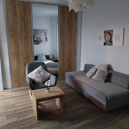 Centar Novi Sad-Apartman No 1 Buitenkant foto